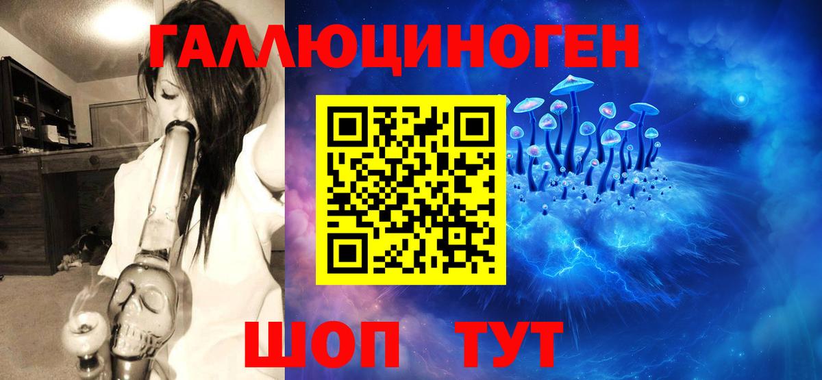 Галлюциногенные грибы Psilocybe  Вход с VPN  Ирбит  Галлюциногенные грибы MAGIC MUSHROOMS 