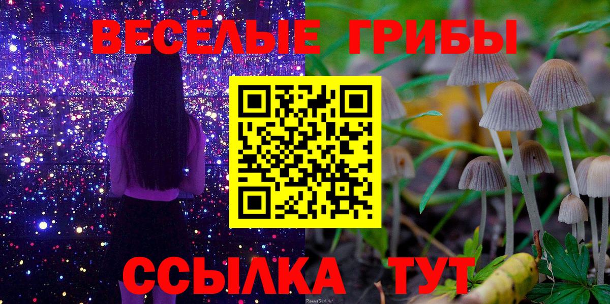 Псилоцибиновые грибы Magic Shrooms Ирбит